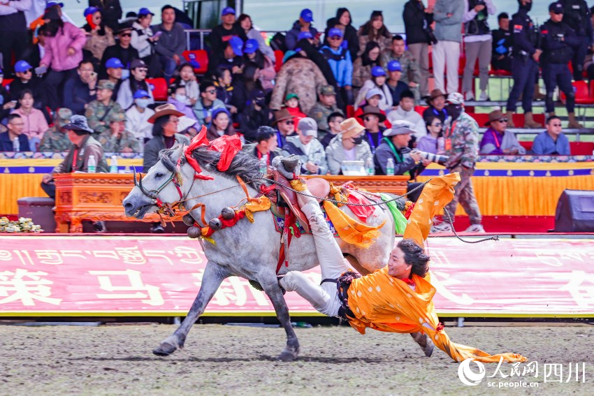 馬術(shù)表演現(xiàn)場(chǎng)。洛絨尼瑪攝