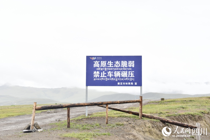 禁止車輛碾壓草原的提示牌。人民網(wǎng)記者 王洪江攝