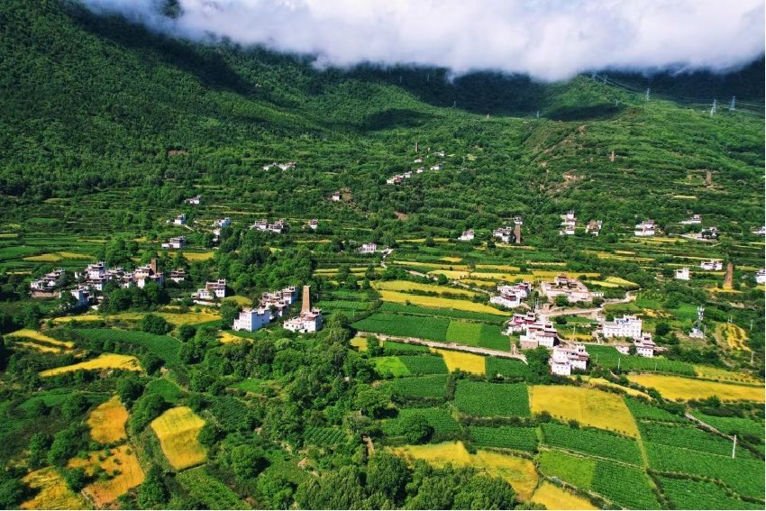 綠色丹巴。丹巴縣委宣傳部供圖