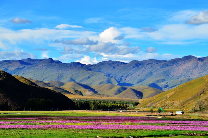 稻城風(fēng)光。稻城縣委宣傳部供圖