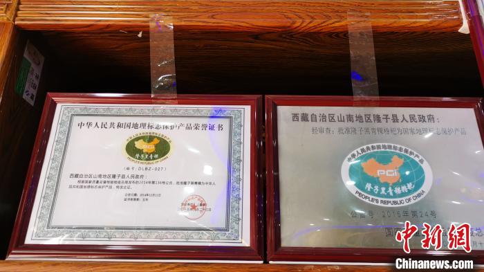 圖為2015年，隆子黑青稞成為中國國家地理標志保護產品?！垈?攝