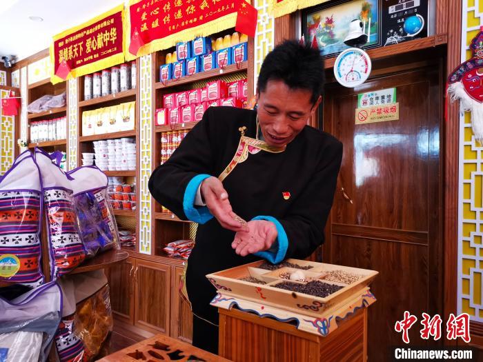 圖為洛桑旦增介紹青稞的功效?！垈?攝