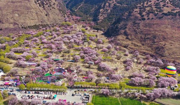 世外桃源！一組圖告訴你，西藏林芝桃花能有多美