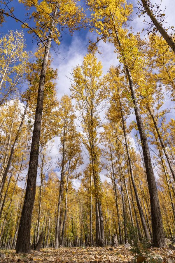 跟我，踏上最美“景觀大道”