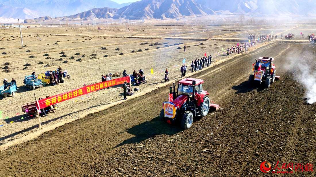 山南市扎囊縣扎其鄉(xiāng)孟卡榮村迎來春耕第一犁。人民網(wǎng) 次仁羅布攝