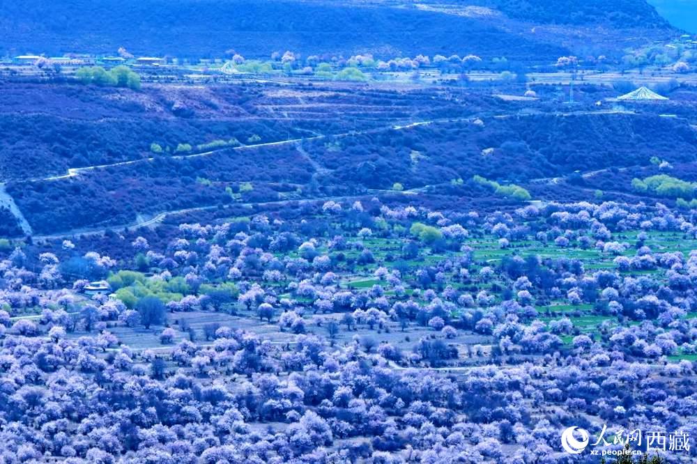 遠眺“桃花村”。人民網(wǎng) 李海霞攝