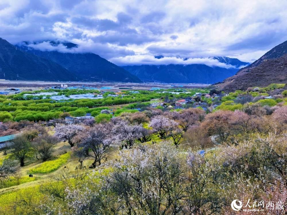 桃花從中的“童話小鎮(zhèn)”。人民網(wǎng) 李海霞攝