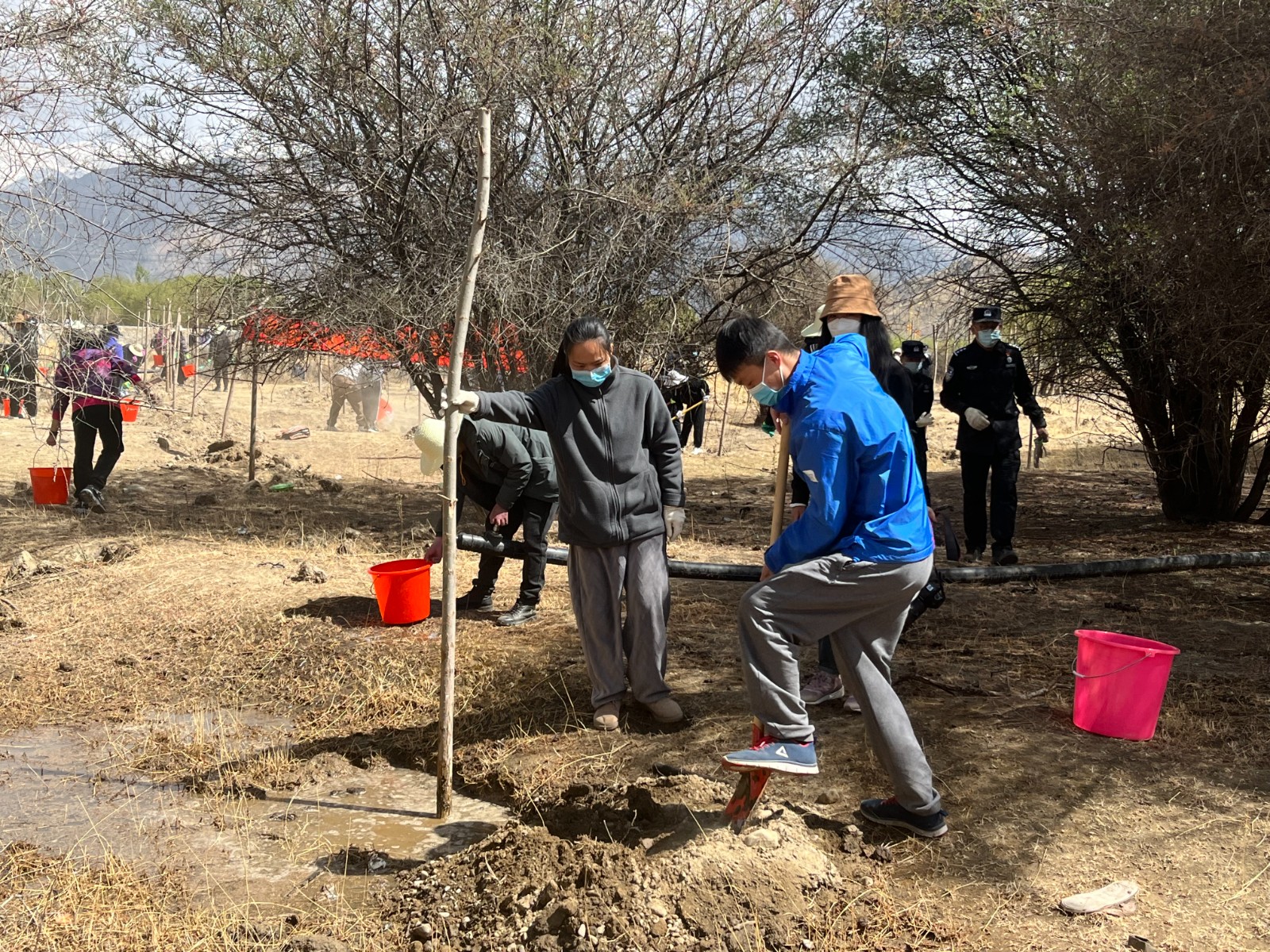 植樹現(xiàn)場，大家分工明確，配合默契(2000565)-20220420090303.jpg