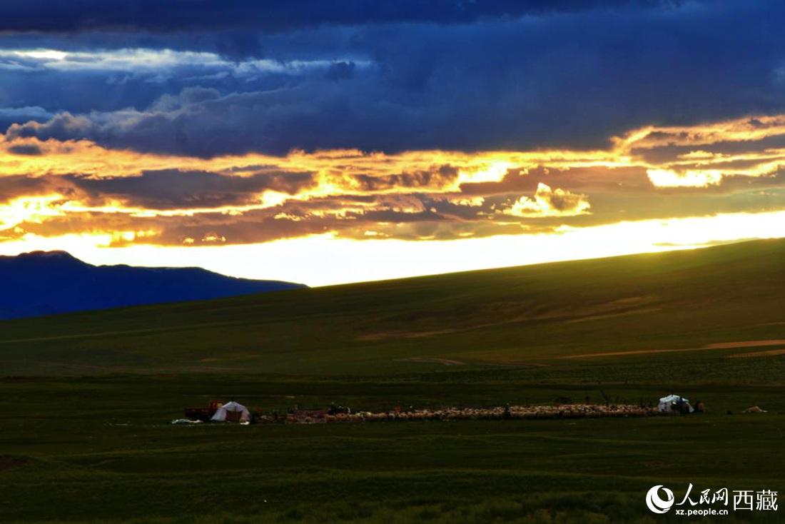 黃昏下的帳篷，牧民過著幸福生活。 人民網(wǎng) 李海霞攝