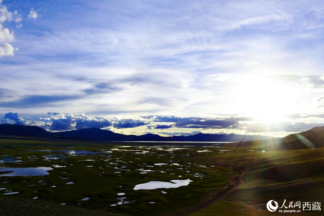 七月的羌塘草原處處是景。人民網(wǎng) 李海霞攝