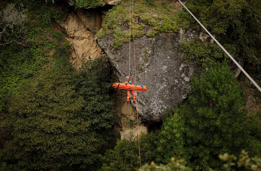 叢林中的橙色身影。西繞拉翁攝