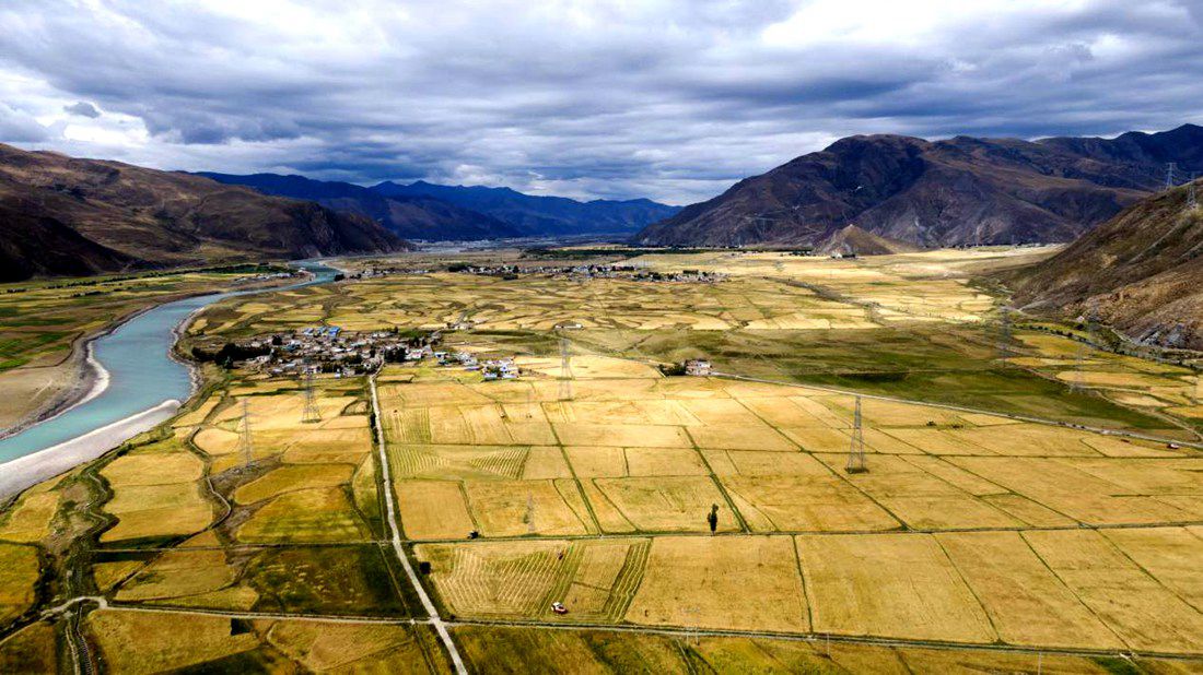 等待豐收的田野。洛克攝