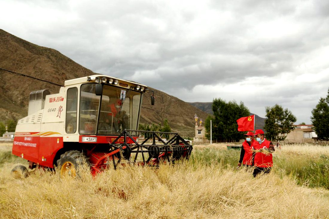陣陣機(jī)械的轟鳴聲傳來豐收的喜悅。洛克攝