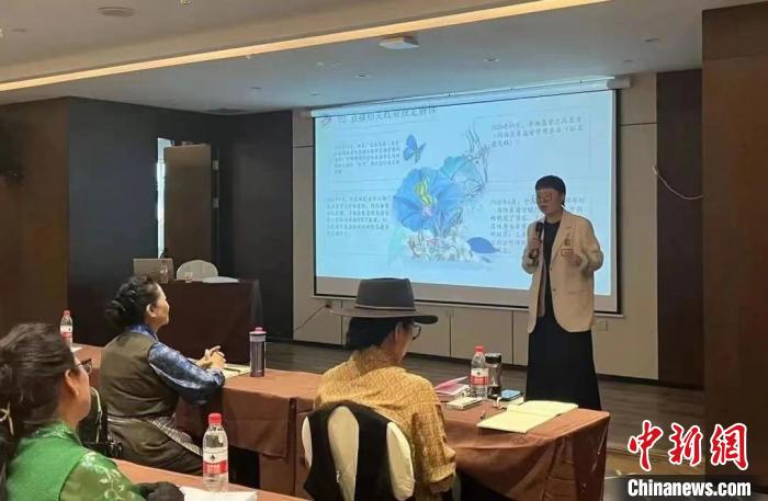 圖為西藏自治區(qū)婦聯(lián)組織直播電商培訓(xùn)。資料圖 西藏自治區(qū)婦聯(lián)供圖