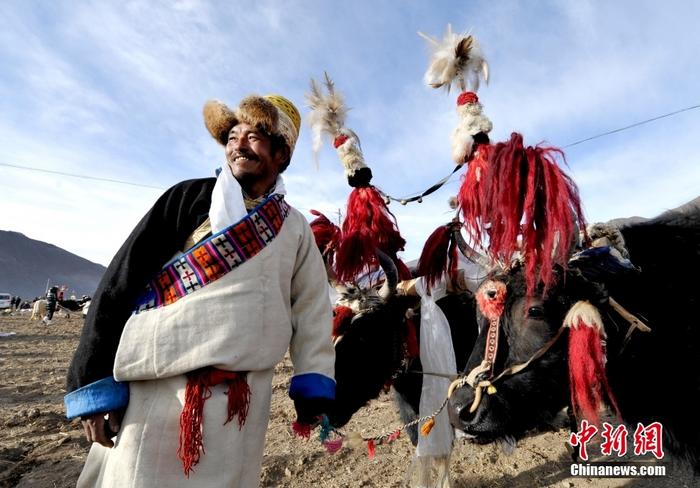 資料圖為2013年3月16日，拉薩市堆龍德慶區(qū)德慶村的農(nóng)民牽著牦牛參加春耕儀式，按照傳統(tǒng)方式由牦牛開第一犁。 <a target='_blank' href='/'><p  align=