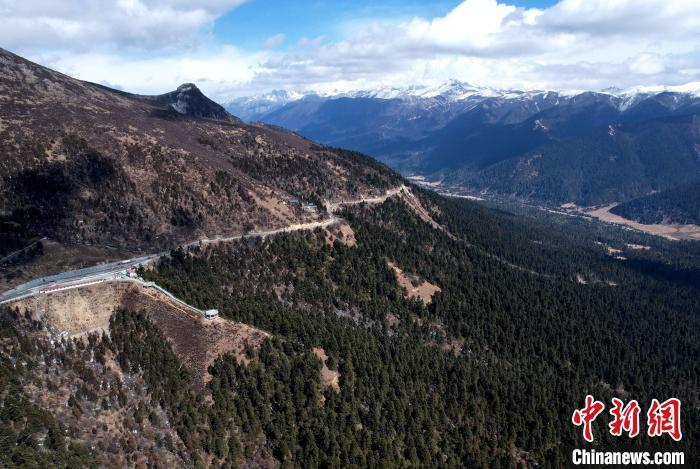 2月17日，西藏林芝魯朗林海。(無人機(jī)照片) 李林 攝