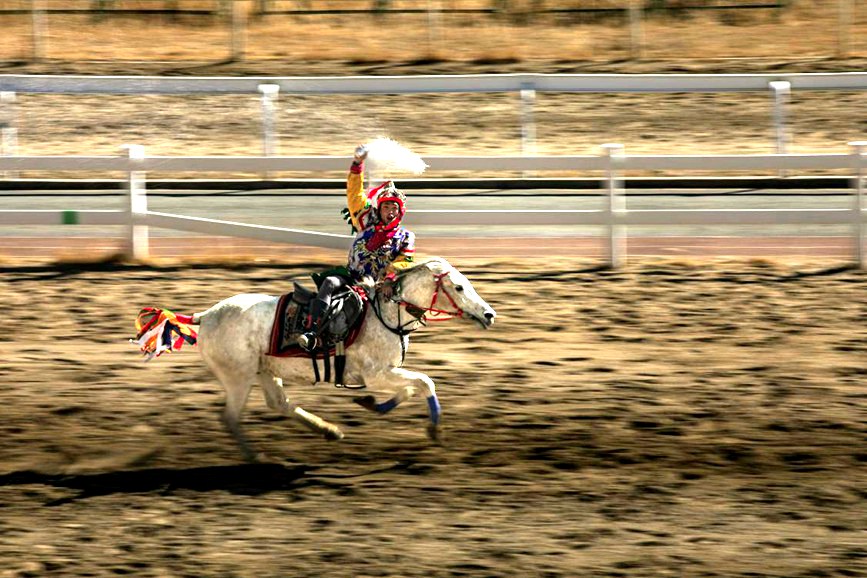 藏歷新年，精彩的馬術(shù)表演。張靜攝