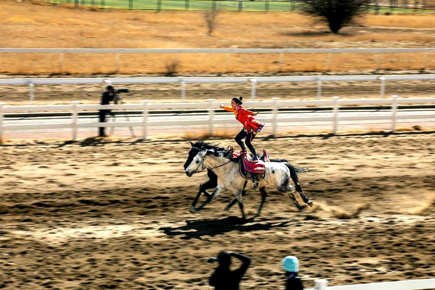 藏歷新年，精彩的馬術(shù)表演。張靜攝