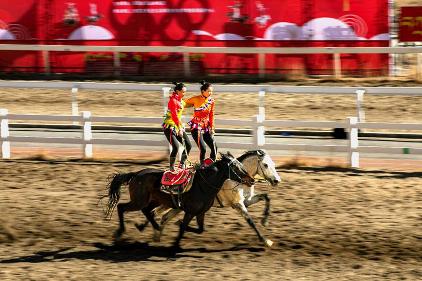 藏歷新年，精彩的馬術(shù)表演。張靜攝