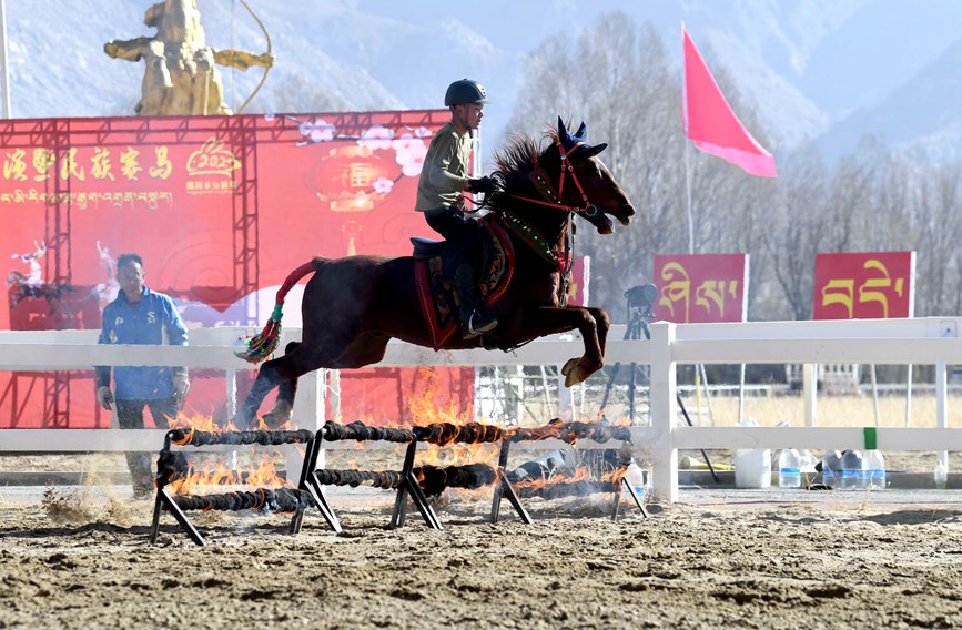 藏歷新年，精彩的馬術(shù)表演。潘多攝