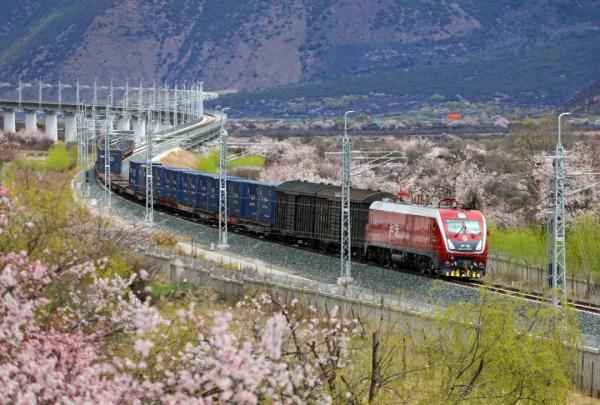 人間桃花源！林芝桃花有多絕？