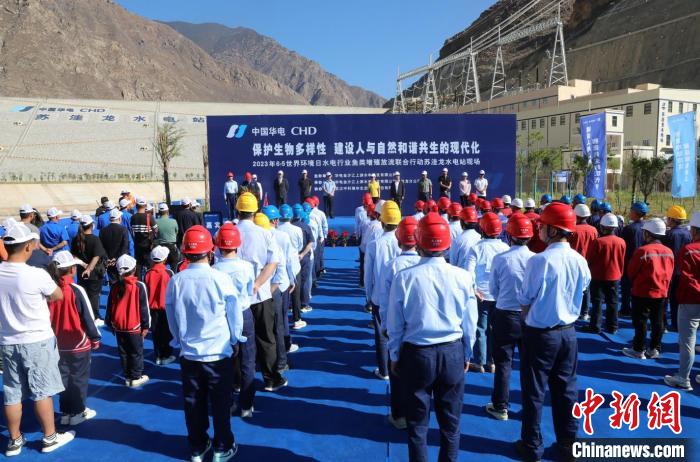 圖為蘇洼龍水電站魚類放流現(xiàn)場?！√K洼龍水電站供圖