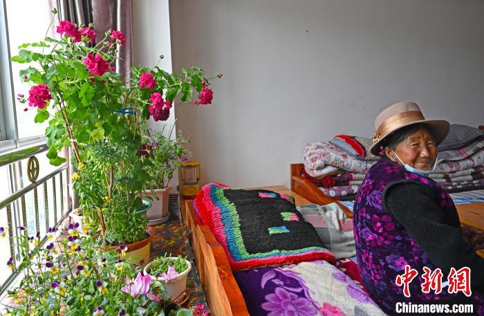 圖為曲松縣特困人員集中供養(yǎng)中心老人德吉卓嘎與她的花?！≮w朗 攝