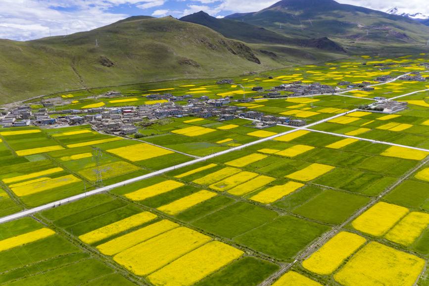 航拍道布龍村，依山傍水，阡陌縱橫。