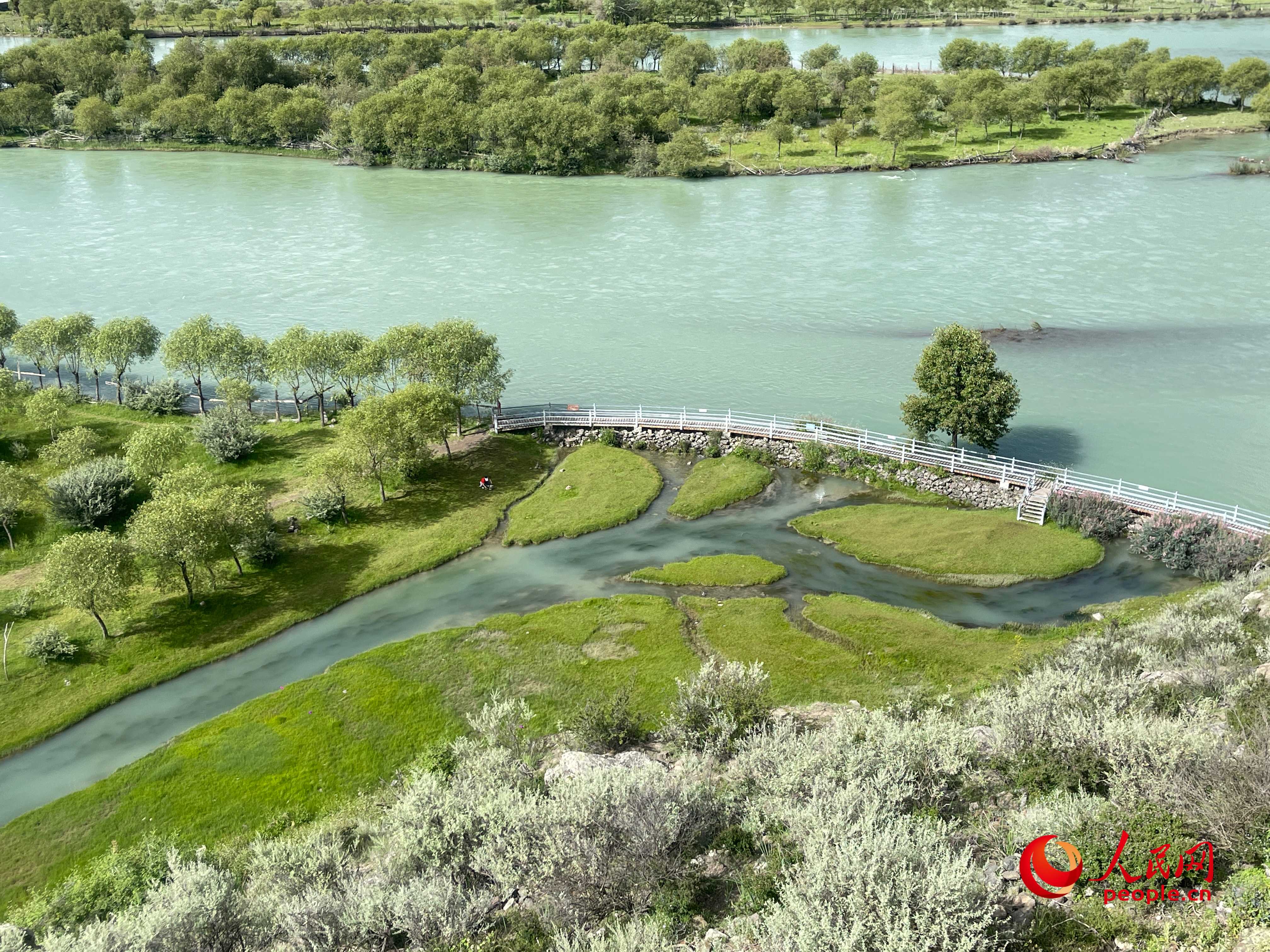 夏日的雅尼國(guó)家濕地公園生機(jī)盎然，如詩(shī)如畫(huà)。人民網(wǎng) 周靜圓攝