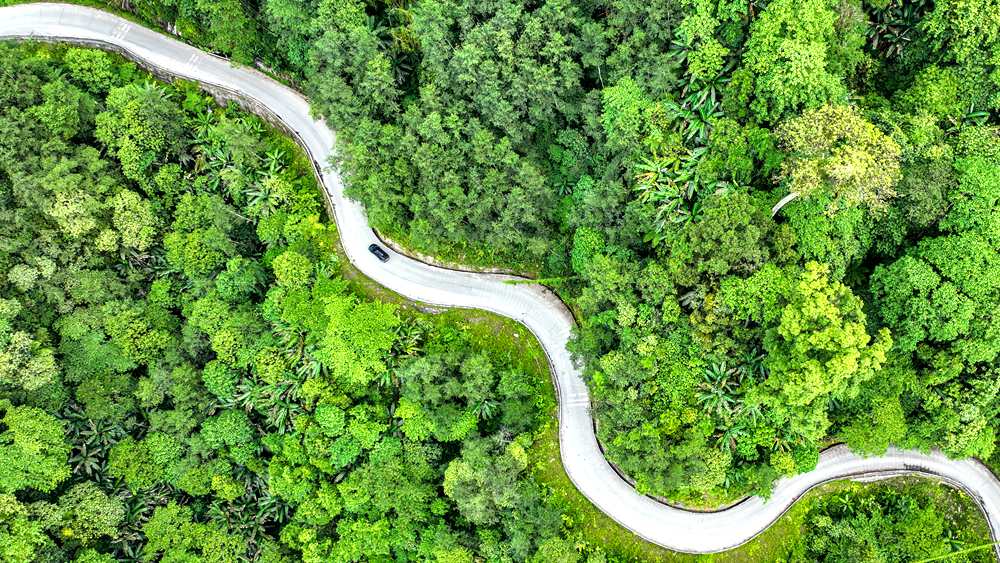 穿行于綠色間，生態(tài)優(yōu)良。張澤坤攝