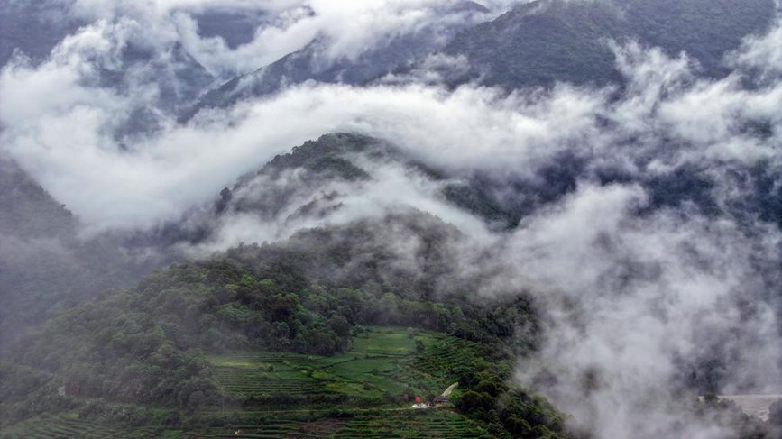 秋日里的墨脫云海。張澤坤攝
