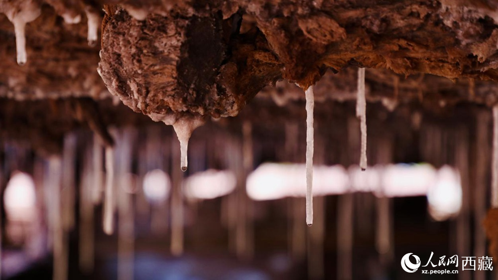 自然滲下的鹽柱結晶。人民網(wǎng)記者 次仁羅布攝