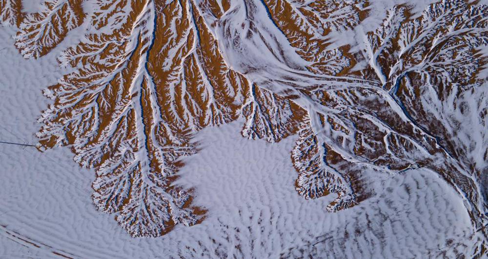 栩栩如生的枝干。邊巴多吉攝