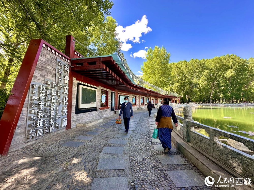 公園內(nèi)的科普文化長(zhǎng)廊。