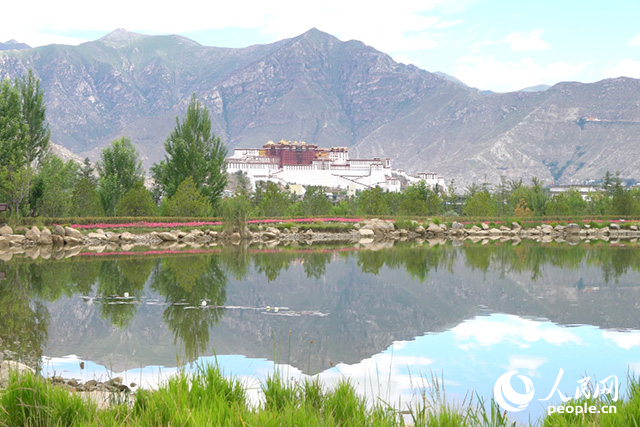 雄偉的布達拉宮與綠意蔥蘢的南山隔河相望。人民網(wǎng)記者 劉凡攝