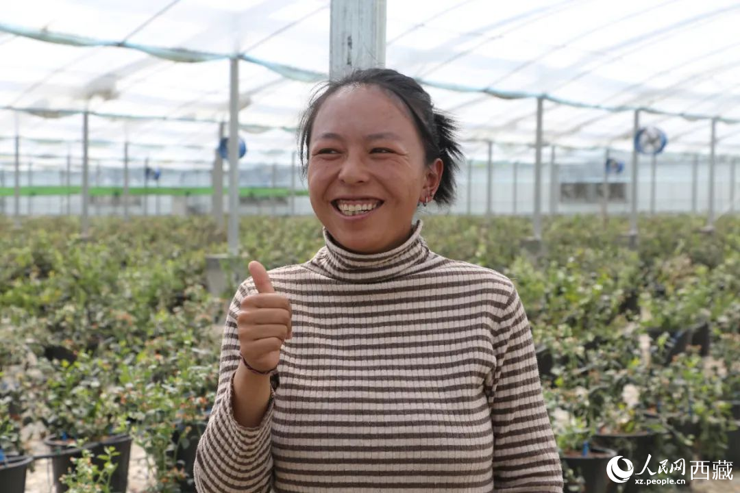 措姆品嘗自己精心照料的藍莓后，豎起了大拇指。次仁龍布攝