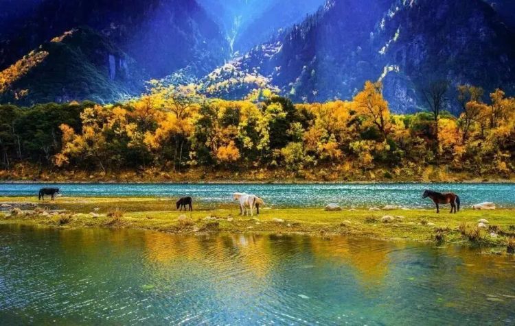 懂西藏的人，一定不會錯過林芝的秋天