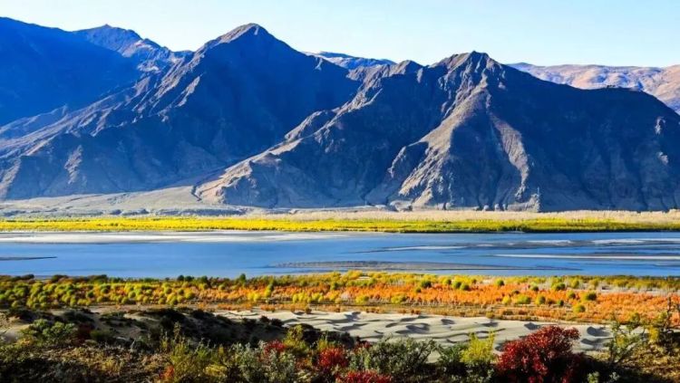 懂西藏的人，一定不會錯過林芝的秋天