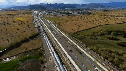 青稞“蛻變”，牦牛“出圈”！看西藏農(nóng)牧民的“十四五”豐收答卷