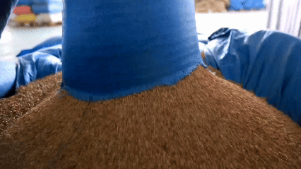 青稞“蛻變”，牦?！俺鋈Α?！看西藏農(nóng)牧民的“十四五”豐收答卷