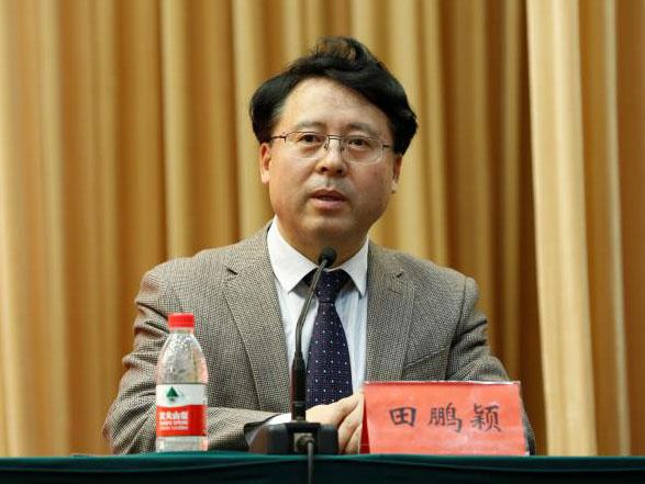 田鵬穎：投入其中、樂(lè)在其中、安身其中