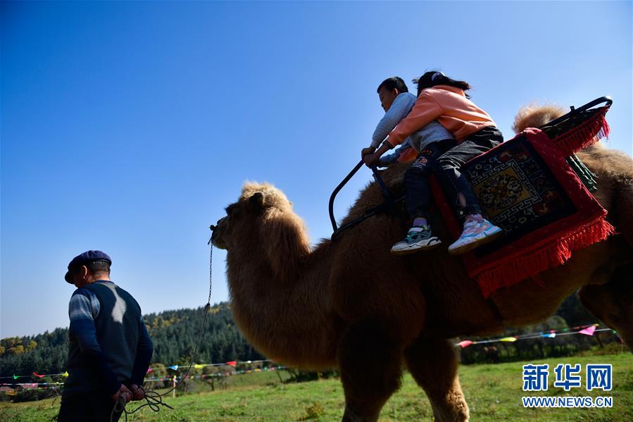 （全面建成小康社會“百城千縣萬村調(diào)研行”·圖文互動）（7）青?？柎澹骸肮夤鞔濉钡娜A麗轉(zhuǎn)身
