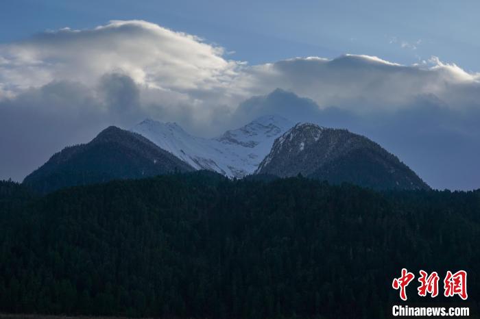 西藏波密縣的原始森林與雪山風(fēng)光?！〗w波 攝