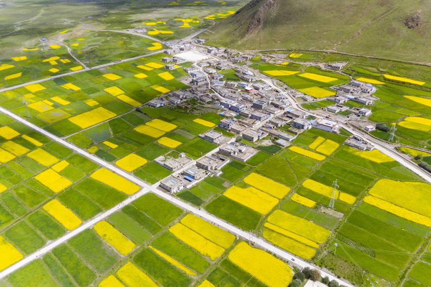 航拍道布龍村，依山傍水，阡陌縱橫。