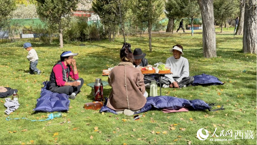 圖為市民在公園內(nèi)聚會(huì)。人民網(wǎng)記者 次仁羅布攝