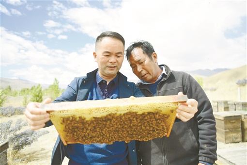 伍國強在蜂場實地指導蜂農(nóng) 圖片來源：湖南日報.jpg